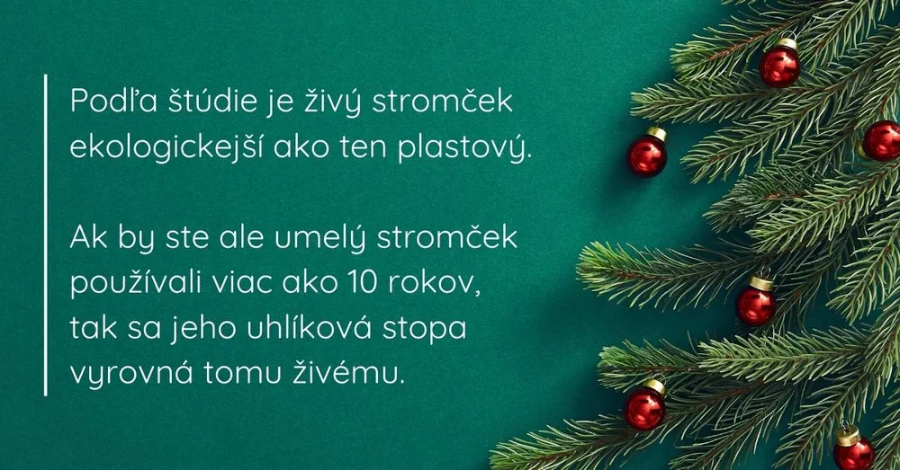 Vánoční stromek v květináči