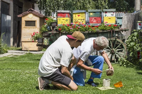 Včelí vosk: přírodní poklad a jeho tajemství