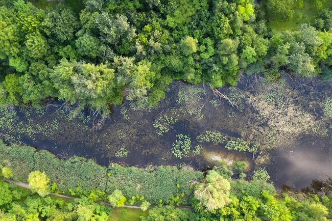 Zajíc v pytli ~ sbírka pro Broz