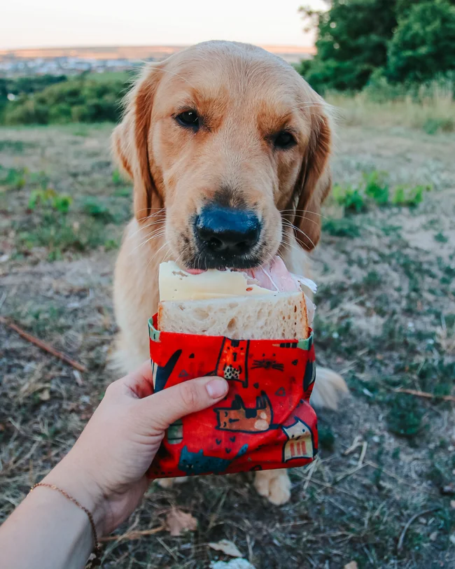 Včelobal L - Zvířátka