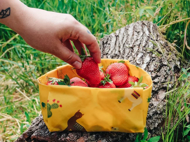 Včelobal TRIO - Zvířátka